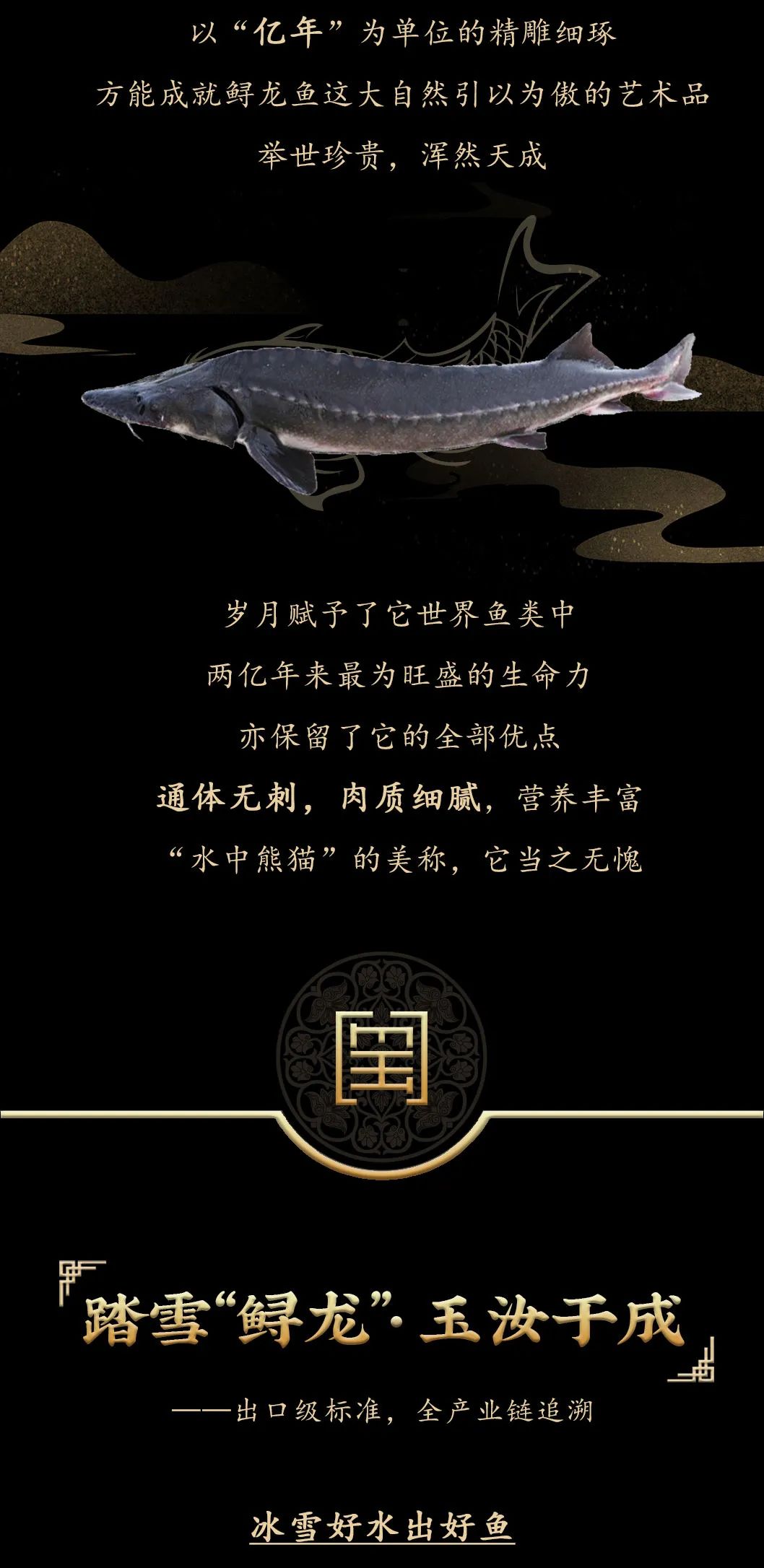 九州鱘龍魚片上新 | 自然臻藏，獻(xiàn)給吃魚有講究的人